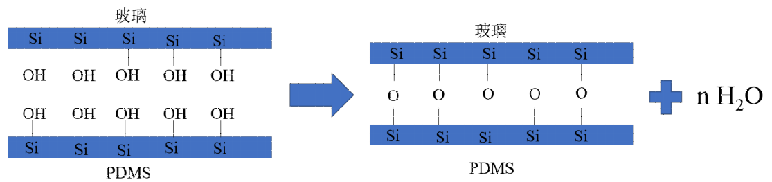 玻璃 -PDMS 鍵合原理圖
